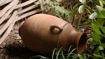 pot