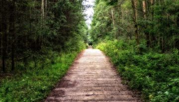 Chemin