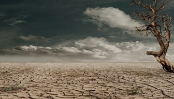 desert